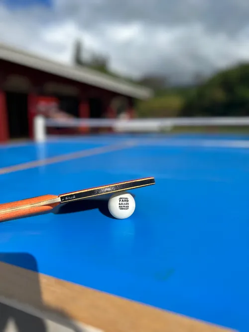 Ping Pong Table (Heavyweight - Oahu)