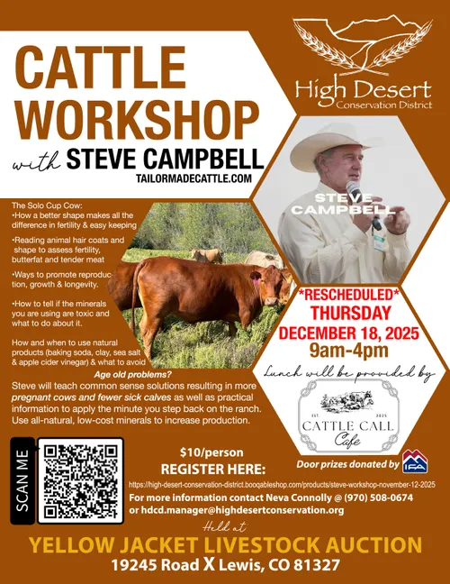 Steve Campbell Workshop-December 18th, 2025 