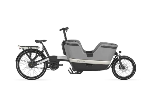 E-Lastenfahrrad