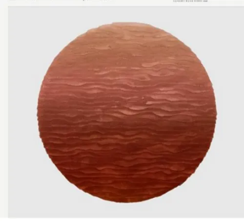 FDS Rugs - 79133