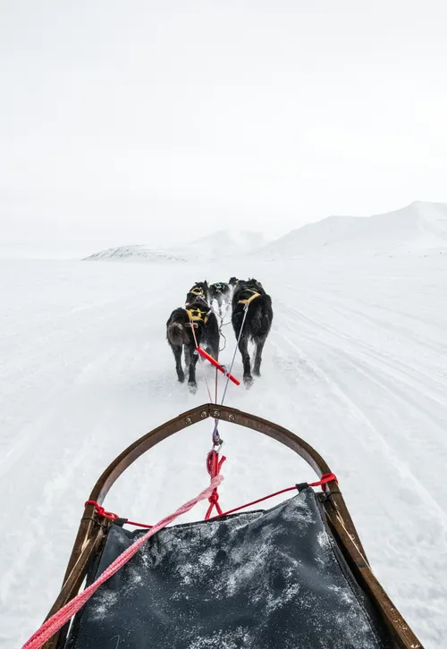 Slädhundspaket Herr - Enkelt