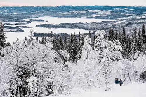 Pajak Övernattningspaket Expedition dun