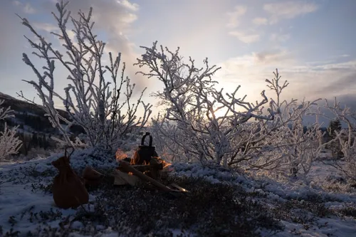 Kopp, bestick och tallrik
