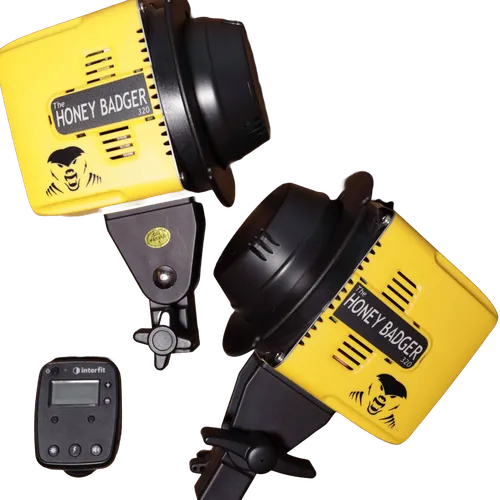 Interfit Honey Badger 320Ws Compact Flash Head