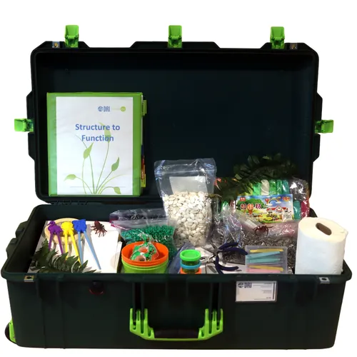 Structure to Function