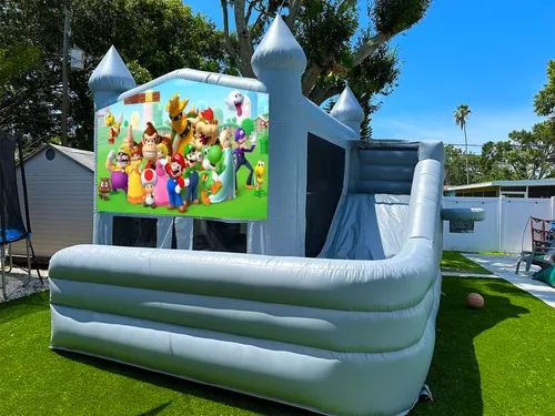 Mario & Friends  Bounce Slide (WET or DRY) 16 x 16 x 16