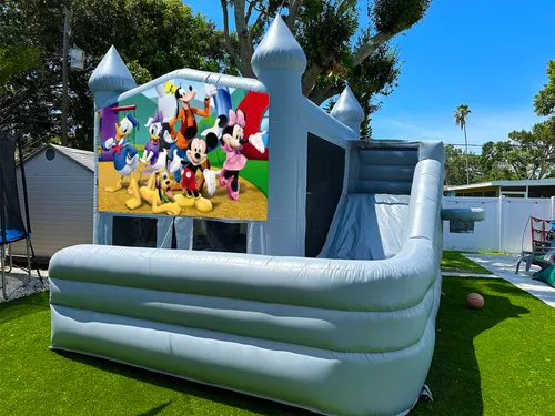 Mickey & Friends Bounce Slide (WET or DRY) 16 x 16 x 16