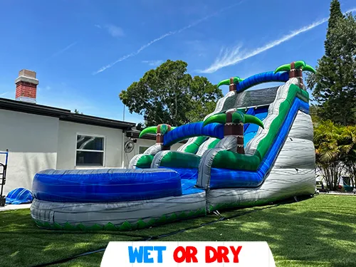 Rocky Palms Slide (WET OR DRY) 14W X 30L X 18H