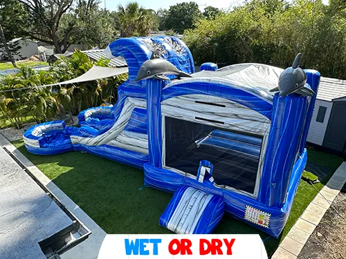 Tsunami Dolphin Bounce Slide Combo (WET OR DRY) 15W X 30L X 18H