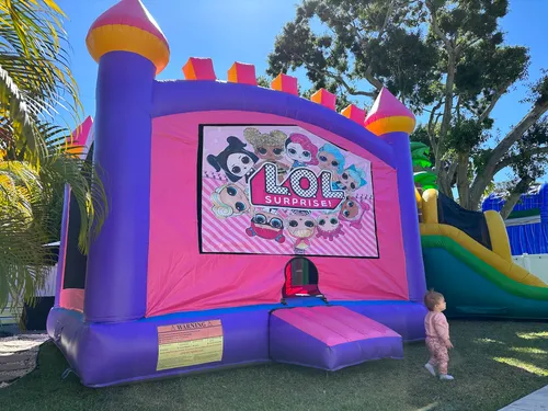 LOL Pink Castle With Basketball Hoop 15 x 15