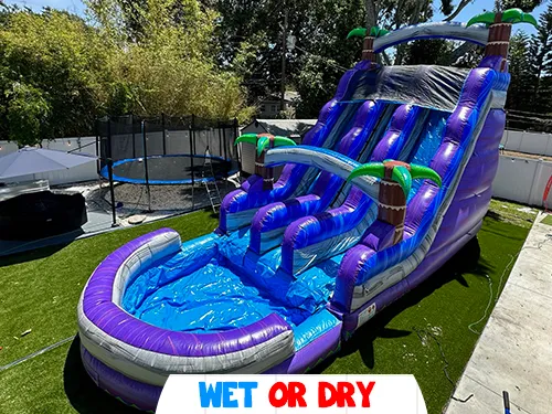 Big Purp Dual Lane Slide (WET OR DRY) 15 X 30L X 21H