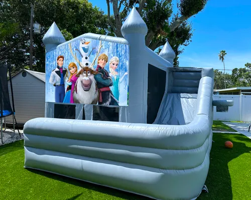 Frozen Bounce Slide (WET or DRY) 16 x 16 x 16
