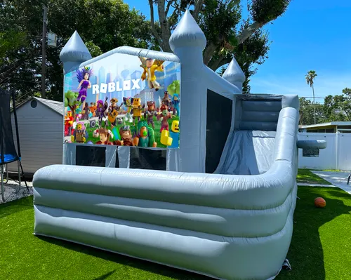 ROBLOX Bounce Slide (WET or DRY) 16 x 16 x 16