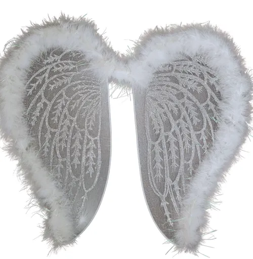 Set of 4 Child Angel Wings with Fluff