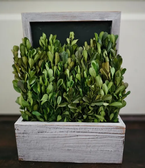 Set of 2 Small Boxed Greenery Table Deco