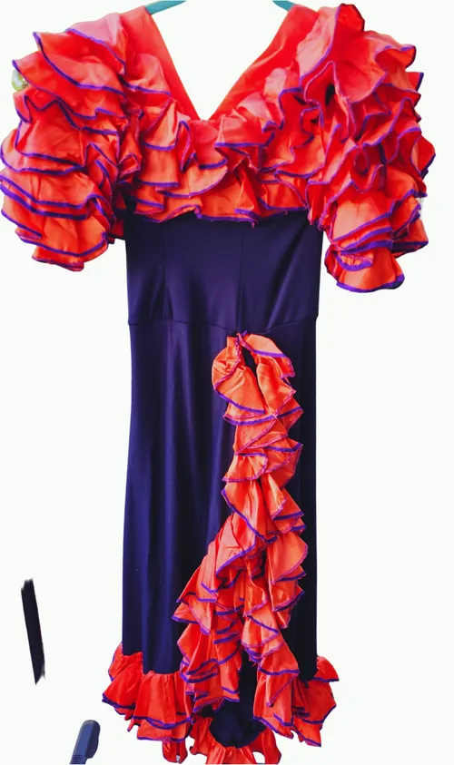 Hand Made Blue & Rose Rumba Dress