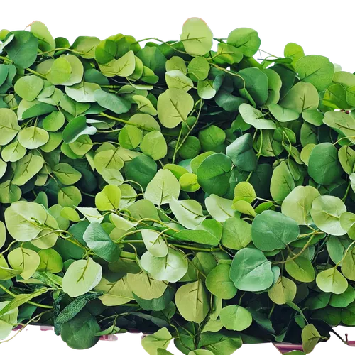 Quality 8' Eucalyptus Vines