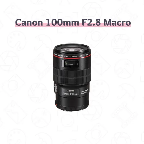 Canon 100mm F2.8L IS USM Macro EF