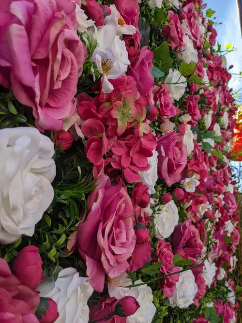 Bloemenwand / Flowerwall 2x2,4m Huren Weert