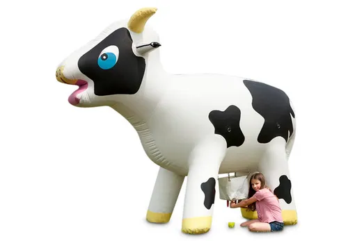  Koemelken Zeskamp 2,3m Hoog Spel