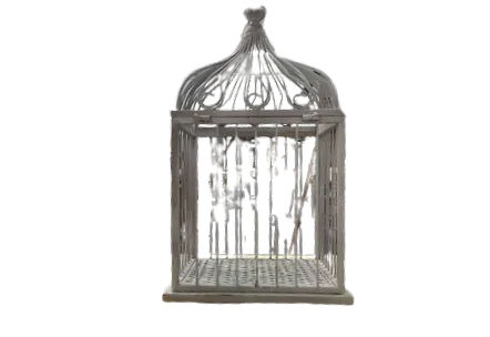 Bird Cage Gray