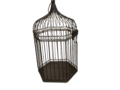 Black Birdcage