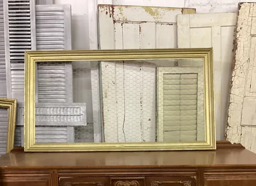 Gold Picture Frame w/ Chicken wire 53