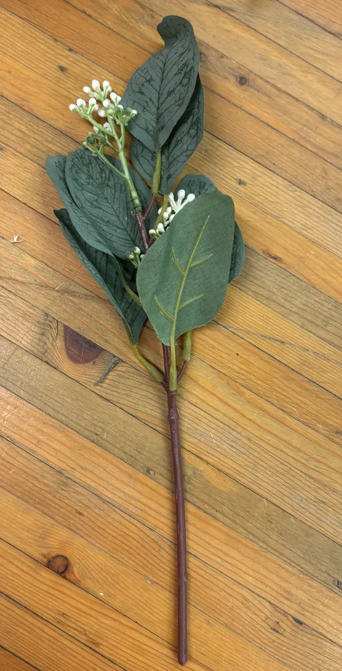Seeded Eucalyptus Stems 