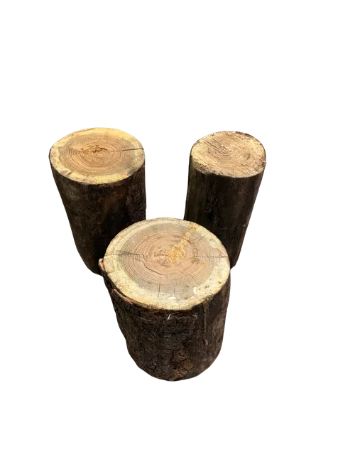 Table Center Wood Stumps 4