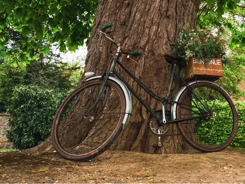 Vélo ancien