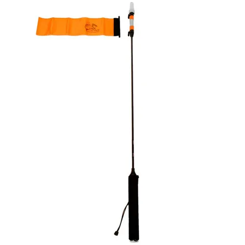 Light & Flag Visi-Pole
