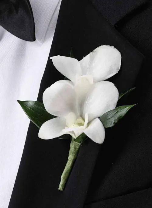 Orchid Bout