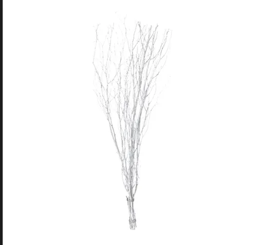 White Birch Tree branches