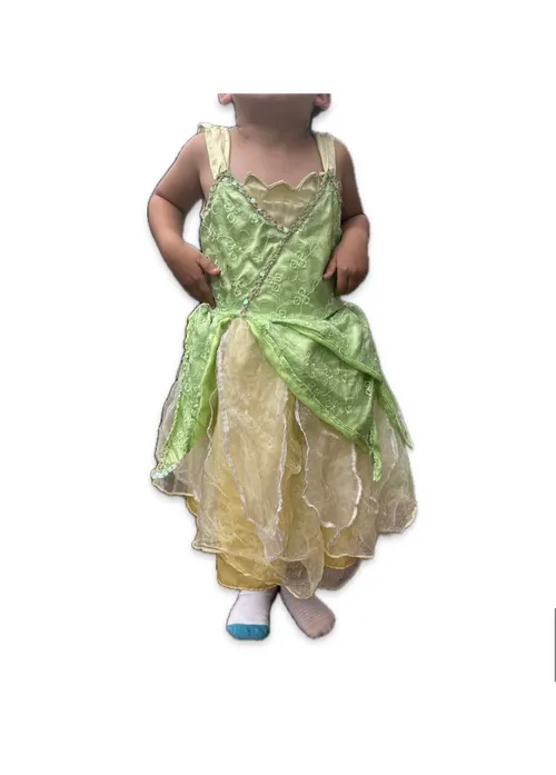 Disney Princess Tianna Costume