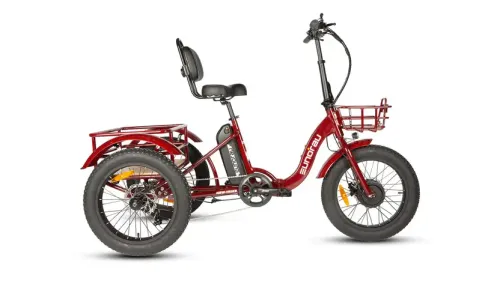 E-Trike W