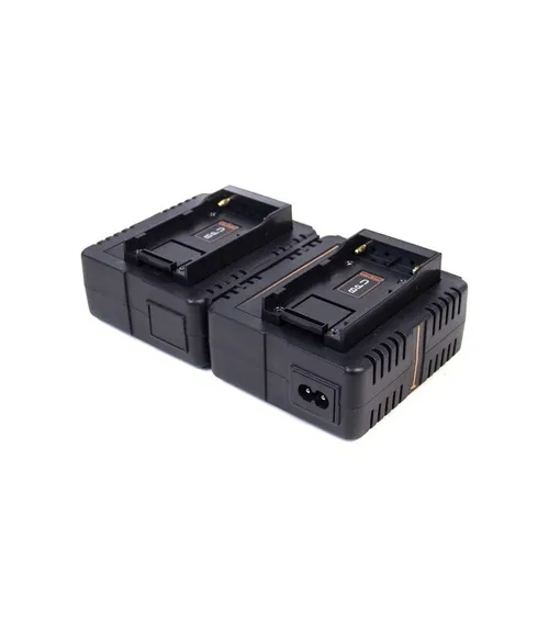 HAWK WOODS BPU 2-CHANNEL CHARGER