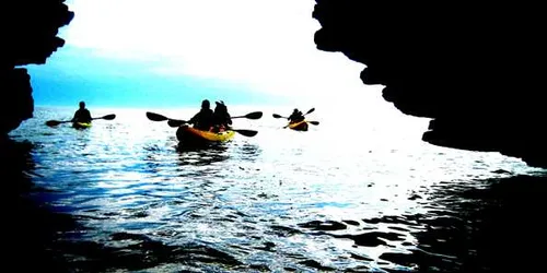 Tour (Paddleboard or Kayak - Must arrange with us prior to payment)