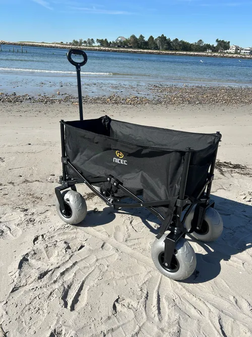 Beach Wagon