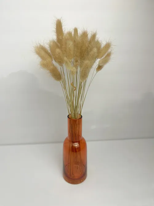 Amber Vase Dried Bunny Tails