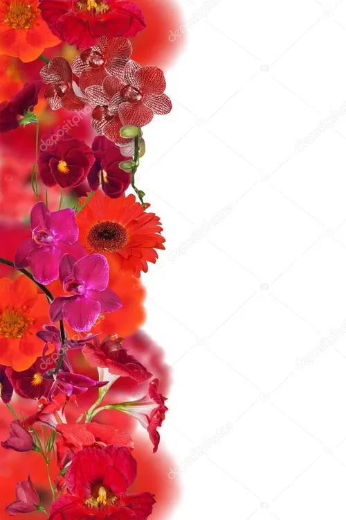 Red flower strip 