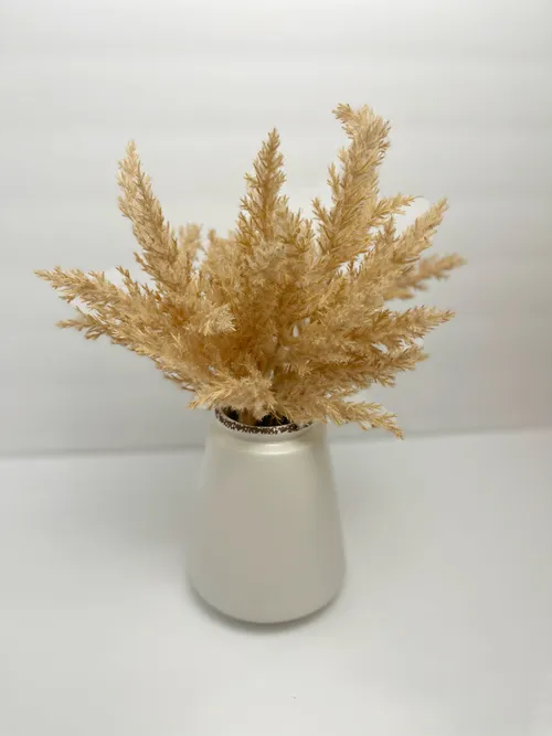Faux Beige Pampas 
