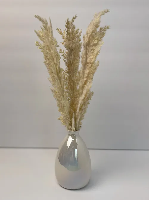Faux Beige Wheat
