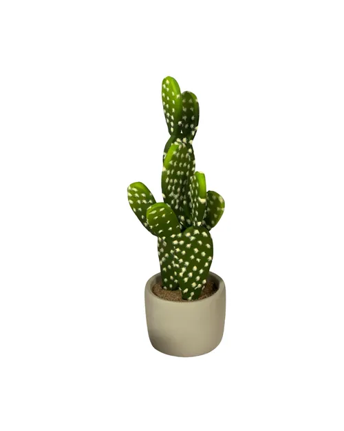 Western Cactus Planter
