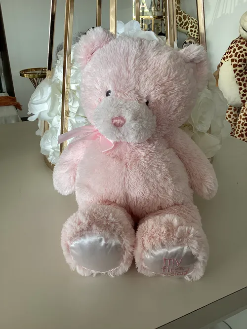 Pink Stuffed Bear 
