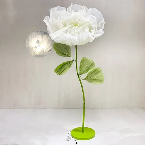 Do not open flowers white