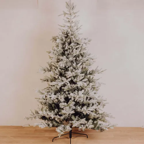 Sapin Norman floqué