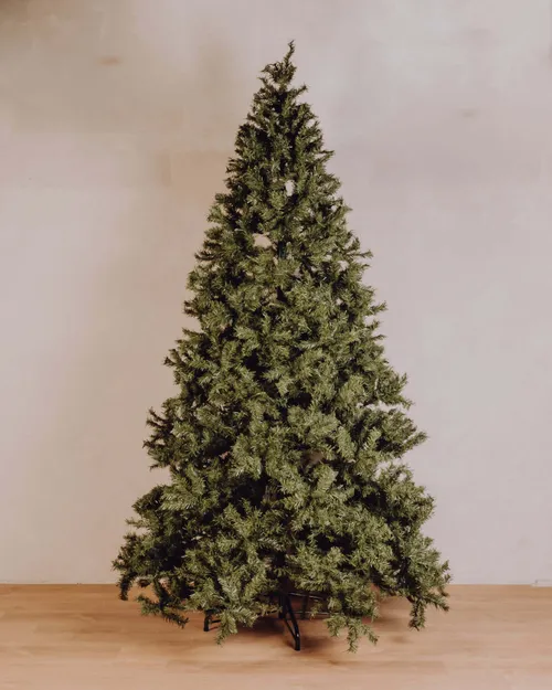Sapin Cyprien 300cm