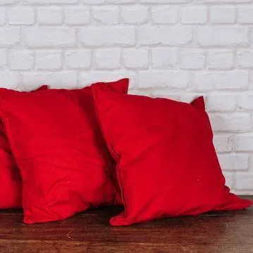 Coussins tons rouge/bordeaux