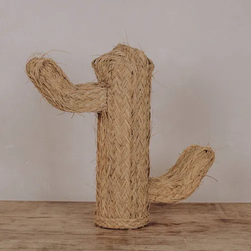 Cactus tressé
