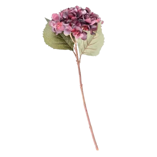 Hortensia artificiel - Pourpre